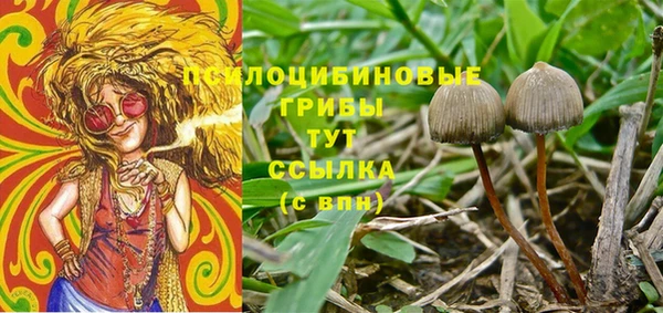 ешки Алзамай