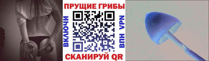 кракен маркетплейс  что такое   Щёлкино  Псилоцибиновые грибы Psilocybine cubensis 